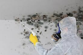 Best Mold Remediation for Healthcare Facilities  in Dandridge, TN